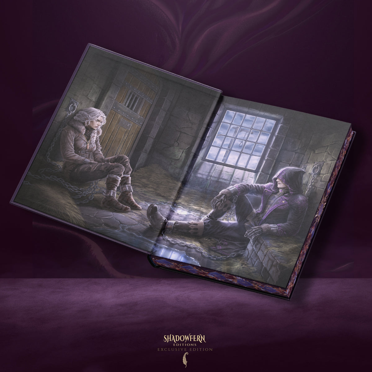 Open illustrated endpaper spread from The Death-Made Prince special edition, depicting two characters in a shadowy stone room with a window.